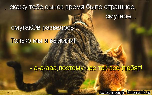 ...скажу тебе,сынок,время было страшное, смутное... смутакОв развелось!.. Только мы и выжили! - а-а-а... Котоматрица: ...скажу тебе,сынок,время было страшное, смутное... смутакОв развелось!.. Только мы и выжили! - а-а-ааа,поэтому нас так все любят!