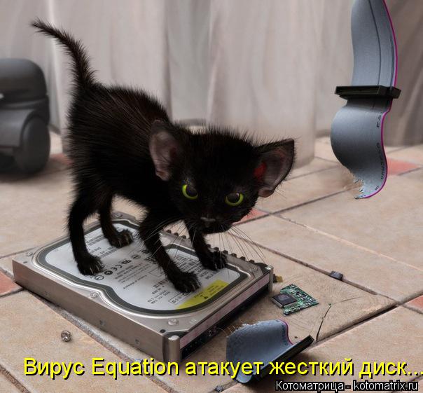 Вирус Equation атакует жесткий диск...... Котоматрица: Вирус Equation атакует жесткий диск...