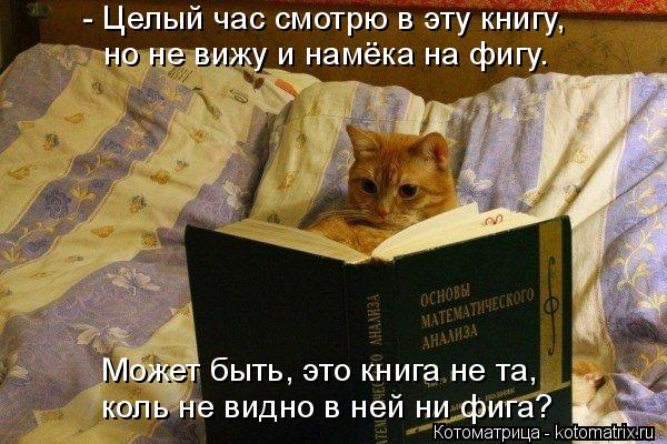 - Целый час смотрю в эту книгу, но не вижу и намёка на фигу. Может быть, это книга не та, коль не вид... Котоматрица: - Целый час смотрю в эту книгу, но не вижу и намёка на фигу. Может быть, это книга не та, коль не видно в ней ни фига?