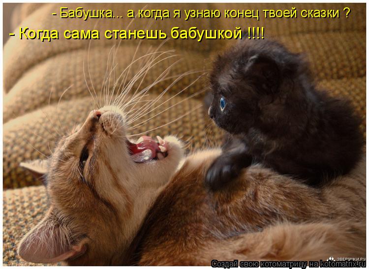 - Бабушка... а когда я узнаю конец твоей сказки ? - Когда сама станешь бабушкой !!!!... Котоматрица: - Бабушка... а когда я узнаю конец твоей сказки ? - Когда сама станешь бабушкой !!!!