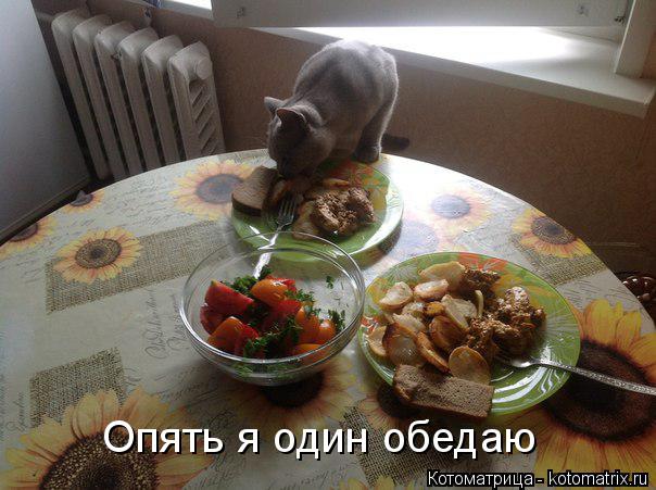 Опять я один обедаю... Котоматрица: Опять я один обедаю