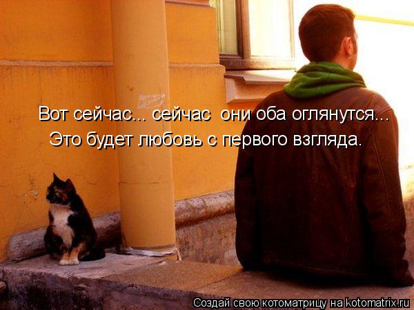 Вот сейчас... сейчас они оба оглянутся... Это будет любовь с первого взгляда.... Котоматрица: Вот сейчас... сейчас они оба оглянутся... Это будет любовь с первого взгляда.