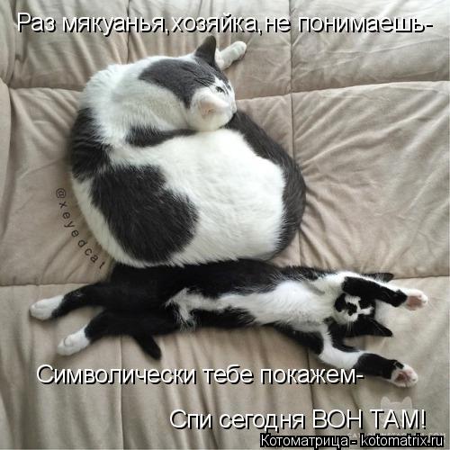 Раз мякуанья,хозяйка,не понимаешь- Символически тебе покажем- Спи сегодня ВОН ТАМ!... Котоматрица: Раз мякуанья,хозяйка,не понимаешь- Символически тебе покажем- Спи сегодня ВОН ТАМ!