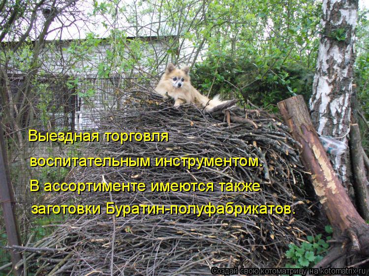 Выездная торговля воспитательным инструментом. В ассортименте имеются также заготовки Буратин-полуфаб... Котоматрица: Выездная торговля воспитательным инструментом. В ассортименте имеются также заготовки Буратин-полуфабрикатов.