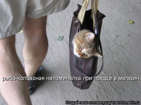 рыбо-колбасная напоминалка при походе в магазин.... Котоматрица: рыбо-колбасная напоминалка при походе в магазин.