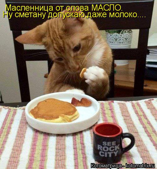 Масленница от слова МАСЛО. Ну сметану допускаю,даже молоко....... Котоматрица: Масленница от слова МАСЛО. Ну сметану допускаю,даже молоко....