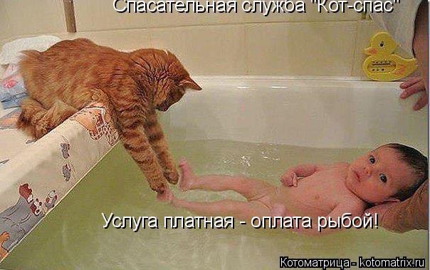 Спасательная служба "Кот-спас" Услуга платная - оплата рыбой!... Котоматрица: Спасательная служба "Кот-спас" Услуга платная - оплата рыбой!