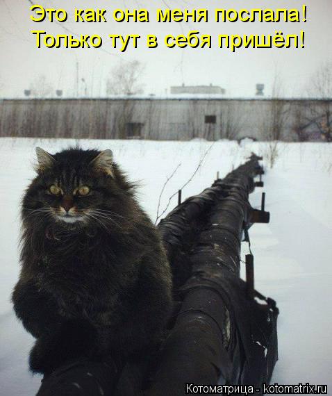 Это как она меня послала! Только тут в себя пришёл!... Котоматрица: Это как она меня послала! Только тут в себя пришёл!