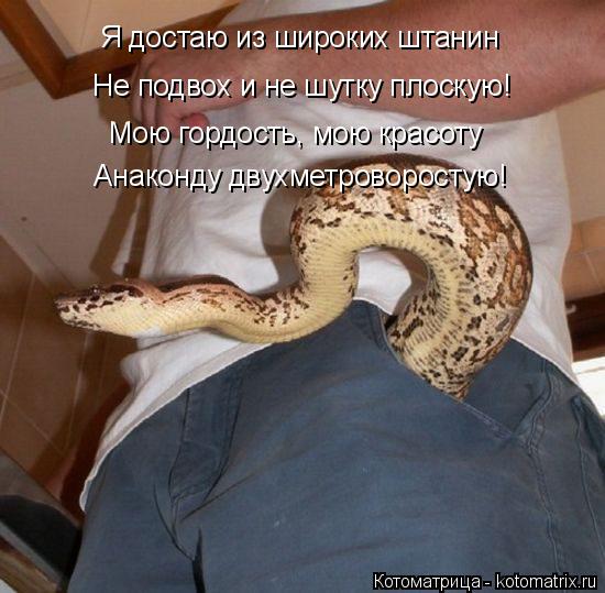 Я достаю из широких штанин Мою гордость, мою красоту Не подвох и не шутку плоскую! Анаконду двухметро... Котоматрица: Я достаю из широких штанин Мою гордость, мою красоту Не подвох и не шутку плоскую! Анаконду двухметроворостую!