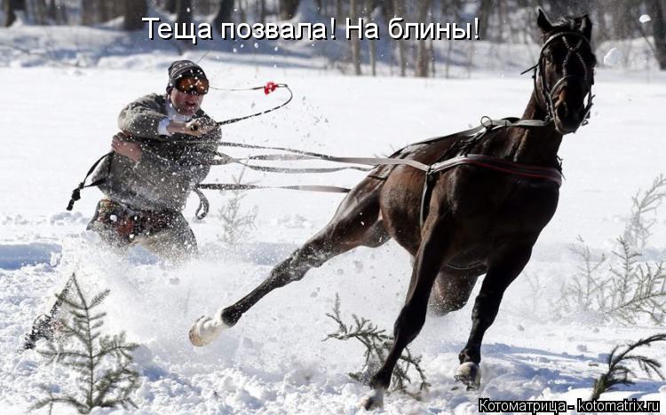 Теща позвала! На блины!... Котоматрица: Теща позвала! На блины!
