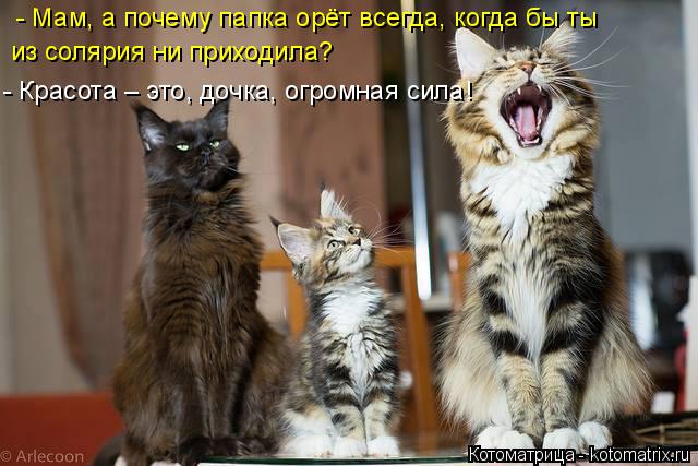 - Мам, а почему папка орёт всегда, когда бы ты из солярия ни приходила? - Красота – это, дочка, огром... Котоматрица: - Мам, а почему папка орёт всегда, когда бы ты из солярия ни приходила? - Красота – это, дочка, огромная сила!