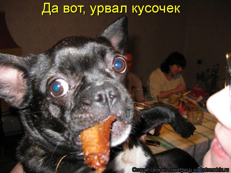 Да вот, урвал кусочек... Котоматрица: Да вот, урвал кусочек