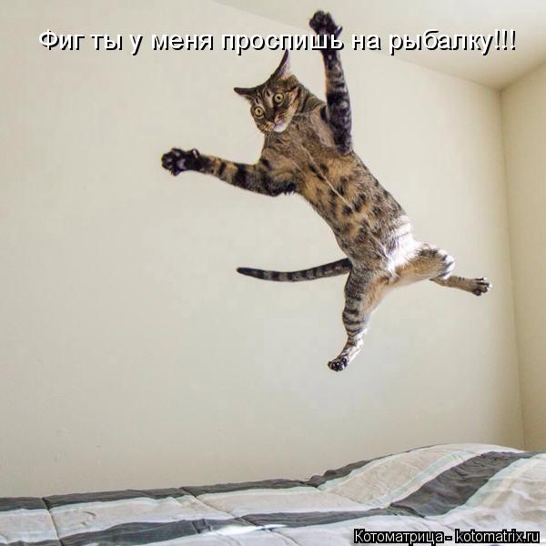 Фиг ты у меня проспишь на рыбалку!!!... Котоматрица: Фиг ты у меня проспишь на рыбалку!!!