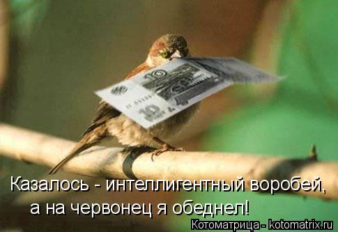 Казалось - интеллигентный воробей, а на червонец я обеднел!... Котоматрица: Казалось - интеллигентный воробей, а на червонец я обеднел!