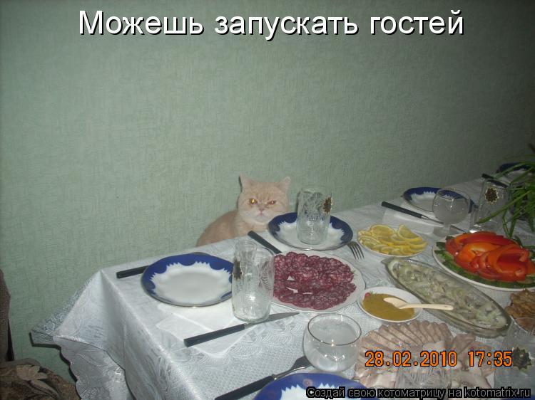 Можешь запускать гостей... Котоматрица: Можешь запускать гостей