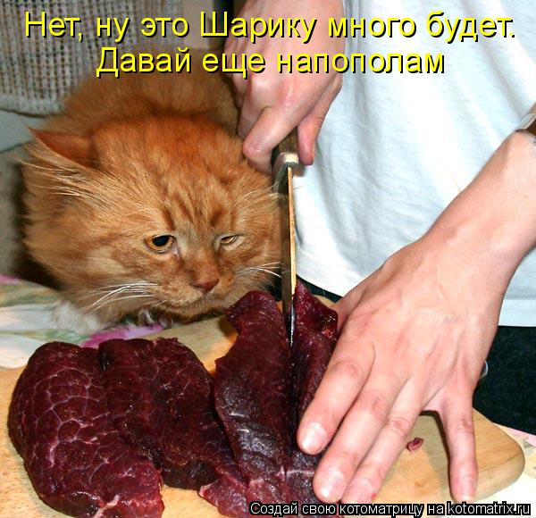 Нет, ну это Шарику много будет. Давай еще напополам... Котоматрица: Нет, ну это Шарику много будет. Давай еще напополам