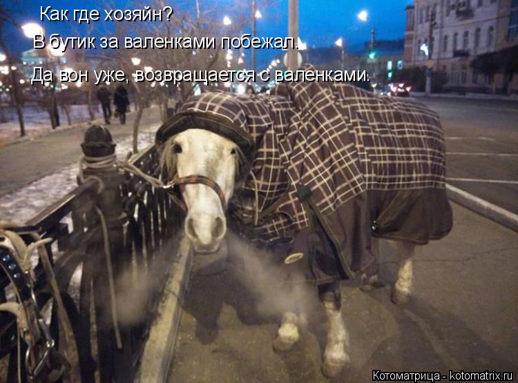 Как где хозяйн? В бутик за валенками побежал. Да вон уже, возвращается с валенками.... Котоматрица: Как где хозяйн? В бутик за валенками побежал. Да вон уже, возвращается с валенками.