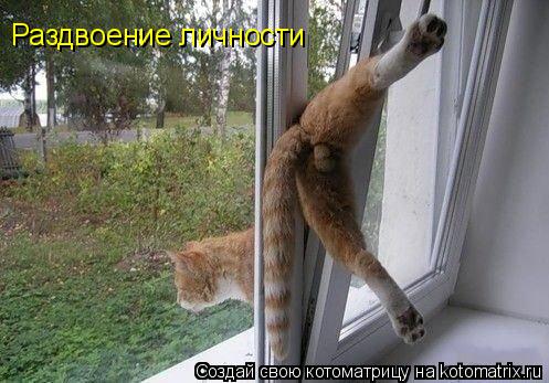 Раздвоение личности... Котоматрица: Раздвоение личности