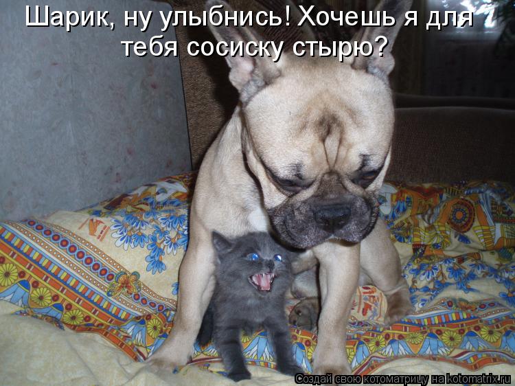 Шарик, ну улыбнись! Хочешь я для тебя сосиску стырю?... Котоматрица: Шарик, ну улыбнись! Хочешь я для тебя сосиску стырю?