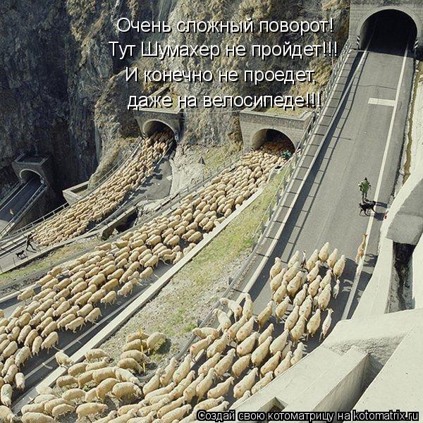 Очень сложный поворот! Тут Шумахер не пройдет!!! И конечно не проедет, даже на велосипеде!!!... Котоматрица: Очень сложный поворот! Тут Шумахер не пройдет!!! И конечно не проедет, даже на велосипеде!!!
