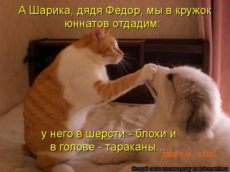 А Шарика, дядя Федор, мы в кружок юннатов отдадим: у него в шерсти - блохи и в голове - тараканы...... Котоматрица: А Шарика, дядя Федор, мы в кружок юннатов отдадим: у него в шерсти - блохи и в голове - тараканы...