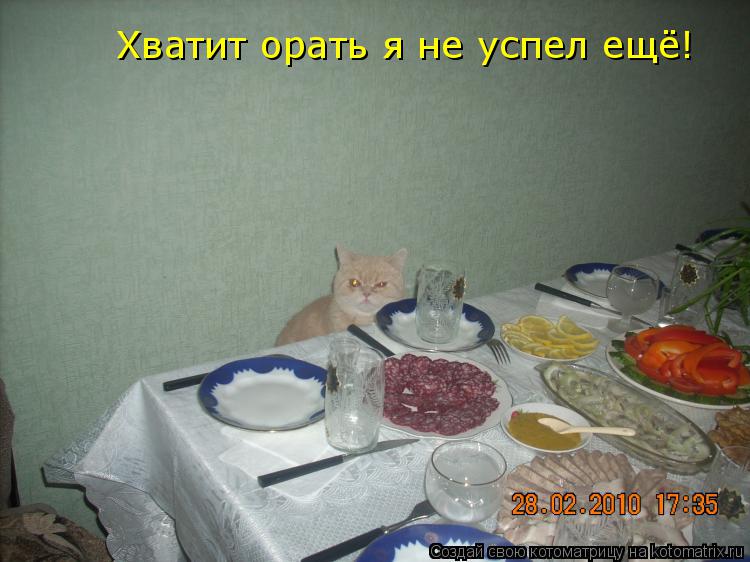 Хватит орать я не успел ещё!... Котоматрица: Хватит орать я не успел ещё!