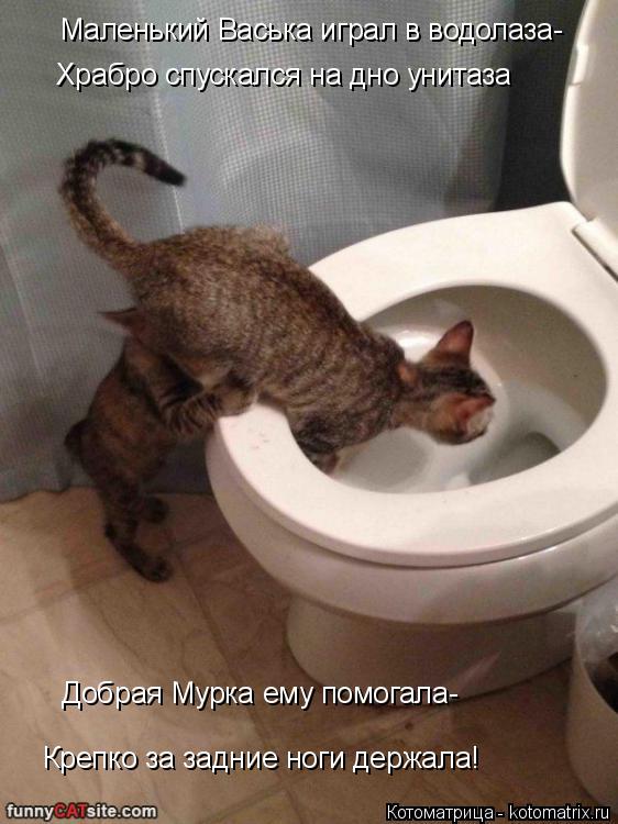 Маленький Васька играл в водолаза- Храбро спускался на дно унитаза Добрая Мурка ему помогала- Крепко ... Котоматрица: Маленький Васька играл в водолаза- Храбро спускался на дно унитаза Добрая Мурка ему помогала- Крепко за задние ноги держала!