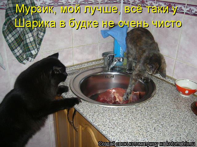 Мурзик, мой лучше, всё таки у Шарика в будке не очень чисто... Котоматрица: Мурзик, мой лучше, всё таки у Шарика в будке не очень чисто
