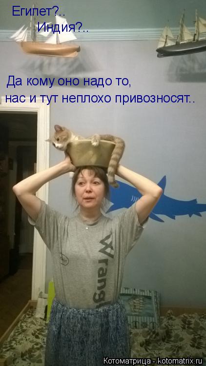 Египет?.. Индия?.. нас и тут неплохо привозносят.. Да кому оно надо то,... Котоматрица: Египет?.. Индия?.. нас и тут неплохо привозносят.. Да кому оно надо то,