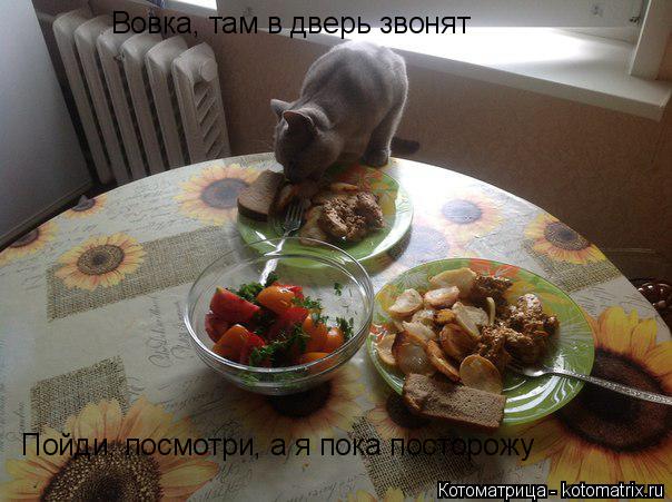 Вовка, там в дверь звонят Пойди, посмотри, а я пока посторожу... Котоматрица: Вовка, там в дверь звонят Пойди, посмотри, а я пока посторожу