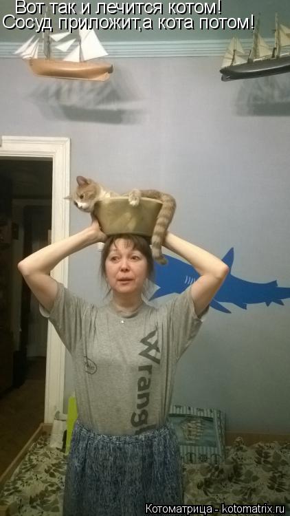 Вот так и лечится котом! Сосуд приложит,а кота потом!... Котоматрица: Вот так и лечится котом! Сосуд приложит,а кота потом!