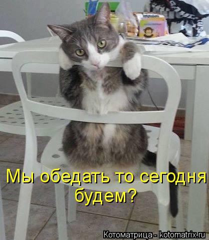 Мы обедать то сегодня будем?... Котоматрица: Мы обедать то сегодня будем?
