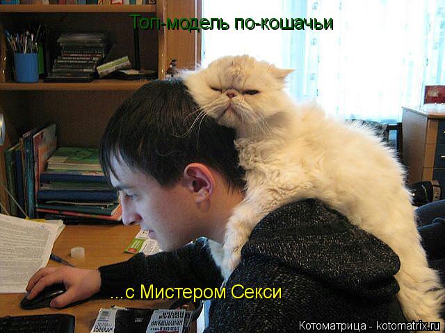 Топ-модель по-кошачьи ...с Мистером Секси... Котоматрица: Топ-модель по-кошачьи ...с Мистером Секси