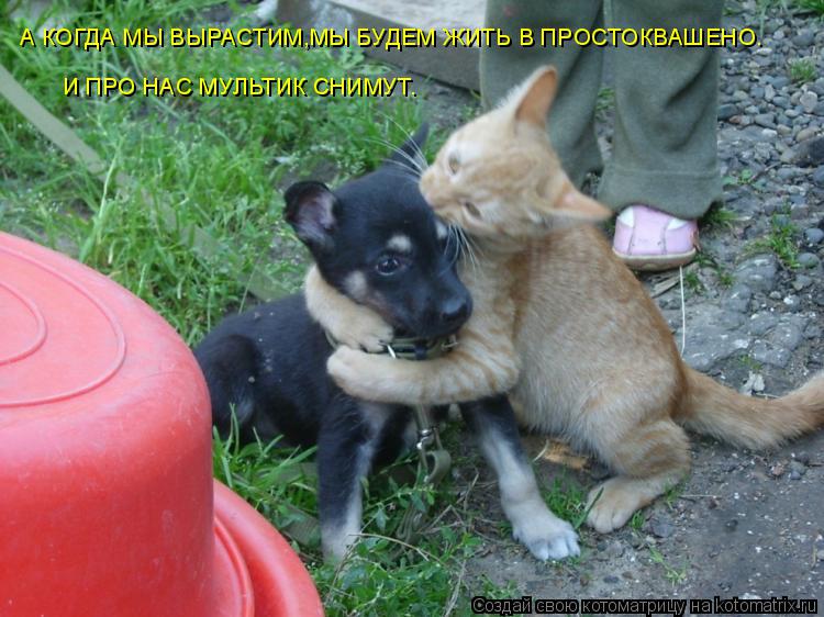 А КОГДА МЫ ВЫРАСТИМ,МЫ БУДЕМ ЖИТЬ В ПРОСТОКВАШЕНО. И ПРО НАС МУЛЬТИК СНИМУТ.... Котоматрица: А КОГДА МЫ ВЫРАСТИМ,МЫ БУДЕМ ЖИТЬ В ПРОСТОКВАШЕНО. И ПРО НАС МУЛЬТИК СНИМУТ.