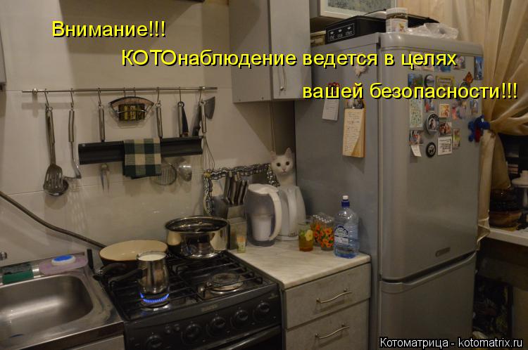 Внимание!!! КОТОнаблюдение ведется в целях вашей безопасности!!!... Котоматрица: Внимание!!! КОТОнаблюдение ведется в целях вашей безопасности!!!