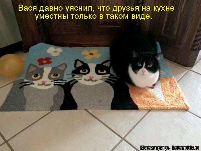 Котоматрица: Вася давно уяснил, что друзья на кухне уместны только в таком виде.