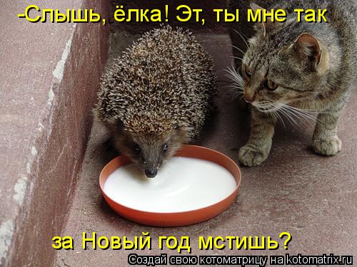 http://kotomatrix.ru/images/lolz/2015/02/20/kotomatritsa_I.jpg