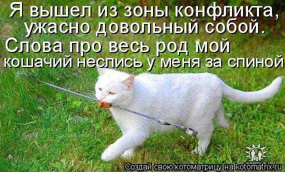 Я вышел из зоны конфликта, ужасно довольный собой. Слова про весь род мой кошачий неслись у меня за ... Котоматрица: Я вышел из зоны конфликта, ужасно довольный собой. Слова про весь род мой кошачий неслись у меня за спиной.