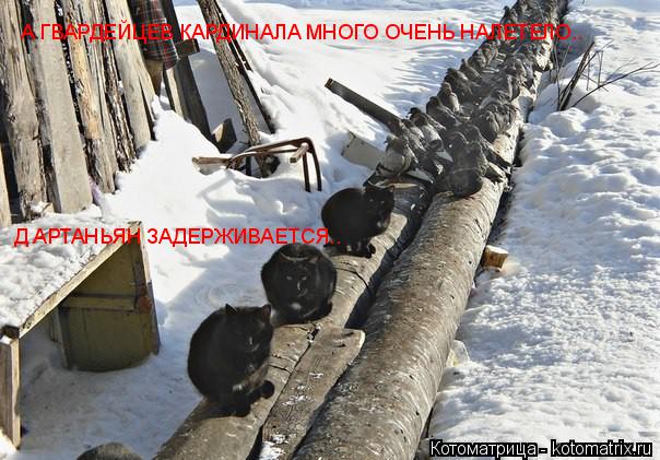Д АРТАНЬЯН ЗАДЕРЖИВАЕТСЯ.. А ГВАРДЕЙЦЕВ КАРДИНАЛА МНОГО ОЧЕНЬ НАЛЕТЕЛО..... Котоматрица: Д АРТАНЬЯН ЗАДЕРЖИВАЕТСЯ.. А ГВАРДЕЙЦЕВ КАРДИНАЛА МНОГО ОЧЕНЬ НАЛЕТЕЛО..