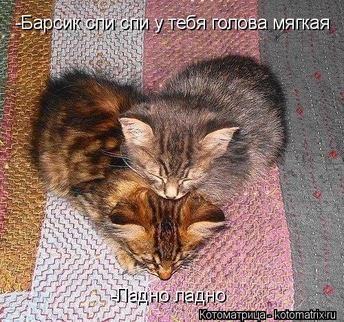 -Барсик спи спи у тебя голова мягкая -Ладно ладно... Котоматрица: -Барсик спи спи у тебя голова мягкая -Ладно ладно