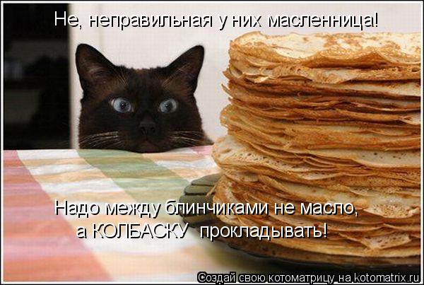 Не, неправильная у них масленница! Надо между блинчиками не масло, а КОЛБАСКУ прокладывать!... Котоматрица: Не, неправильная у них масленница! Надо между блинчиками не масло, а КОЛБАСКУ прокладывать!