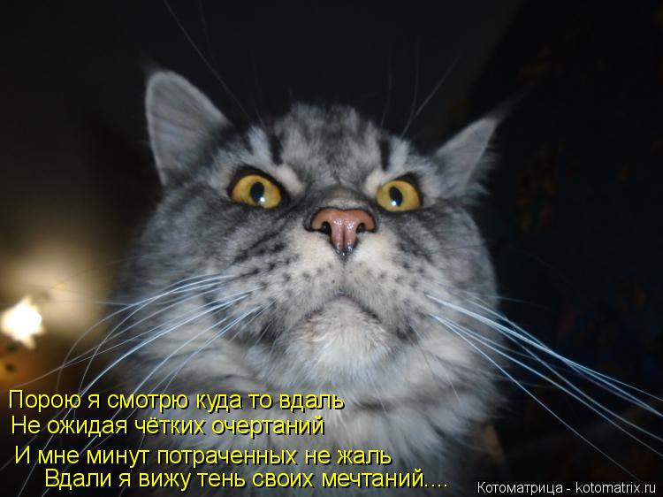 Порою я смотрю куда то вдаль Не ожидая чётких очертаний И мне минут потраченных не жаль Вдали я вижу ... Котоматрица: Порою я смотрю куда то вдаль Не ожидая чётких очертаний И мне минут потраченных не жаль Вдали я вижу тень своих мечтаний....