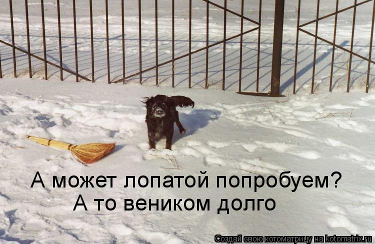 А может лопатой попробуем? А то веником долго... Котоматрица: А может лопатой попробуем? А то веником долго