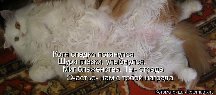 Миг блаженства. Ты- отрада. Щуря глазки, улыбнулся. Котя сладко потянулся, Счастье- нам с тобой на... Котоматрица: Миг блаженства. Ты- отрада. Щуря глазки, улыбнулся. Котя сладко потянулся, Счастье- нам с тобой награда