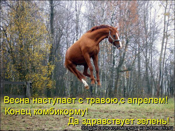 Весна наступает с травою,с апрелем! Конец комбикорму! Да здравствует зелень!... Котоматрица: Весна наступает с травою,с апрелем! Конец комбикорму! Да здравствует зелень!