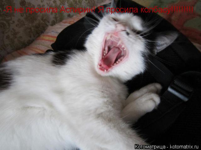 -Я не просила Аспирин! Я просила колбасу!!!!!!!!!... Котоматрица: -Я не просила Аспирин! Я просила колбасу!!!!!!!!!