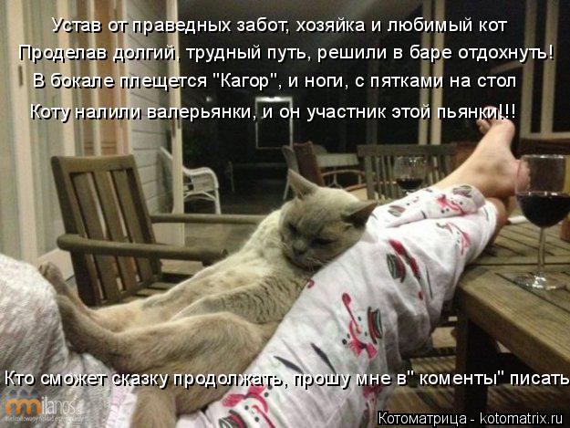 Устав от праведных забот, хозяйка и любимый кот Проделав долгий, трудный путь, решили в баре отдохнут... Котоматрица: Устав от праведных забот, хозяйка и любимый кот Проделав долгий, трудный путь, решили в баре отдохнуть! В бокале плещется "Кагор", и ноги, с пя