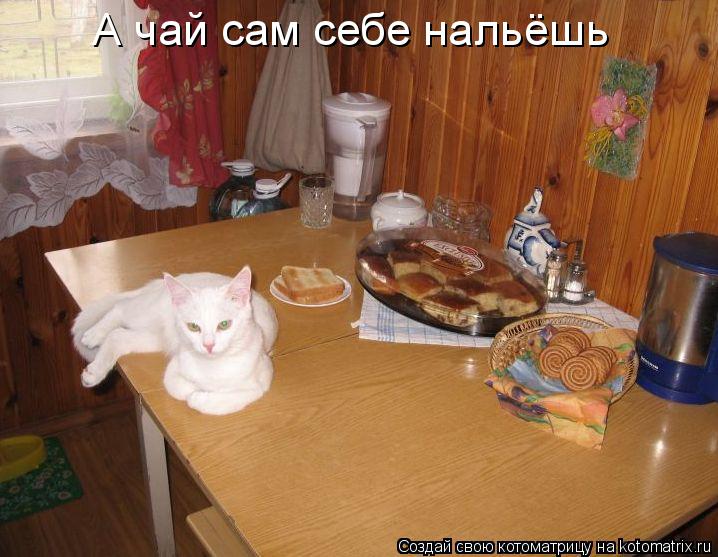А чай сам себе нальёшь... Котоматрица: А чай сам себе нальёшь