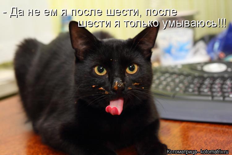 - Да не ем я после шести, после шести я только умываюсь!!!... Котоматрица: - Да не ем я после шести, после шести я только умываюсь!!!