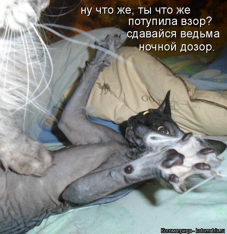 ну что же, ты что же потупила взор? сдавайся ведьма ночной дозор .... Котоматрица: ну что же, ты что же потупила взор? сдавайся ведьма ночной дозор .